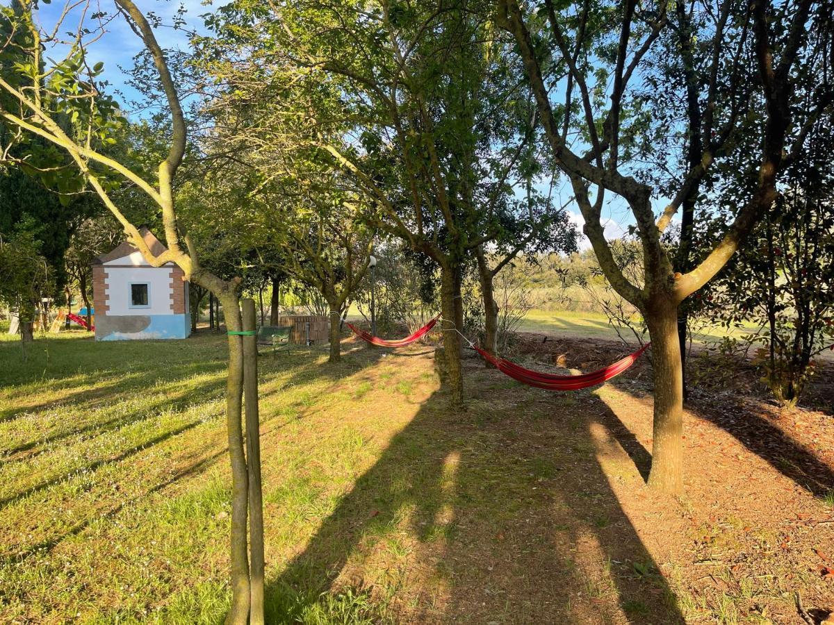Agriturismo Le Biricoccole Vada Exterior photo