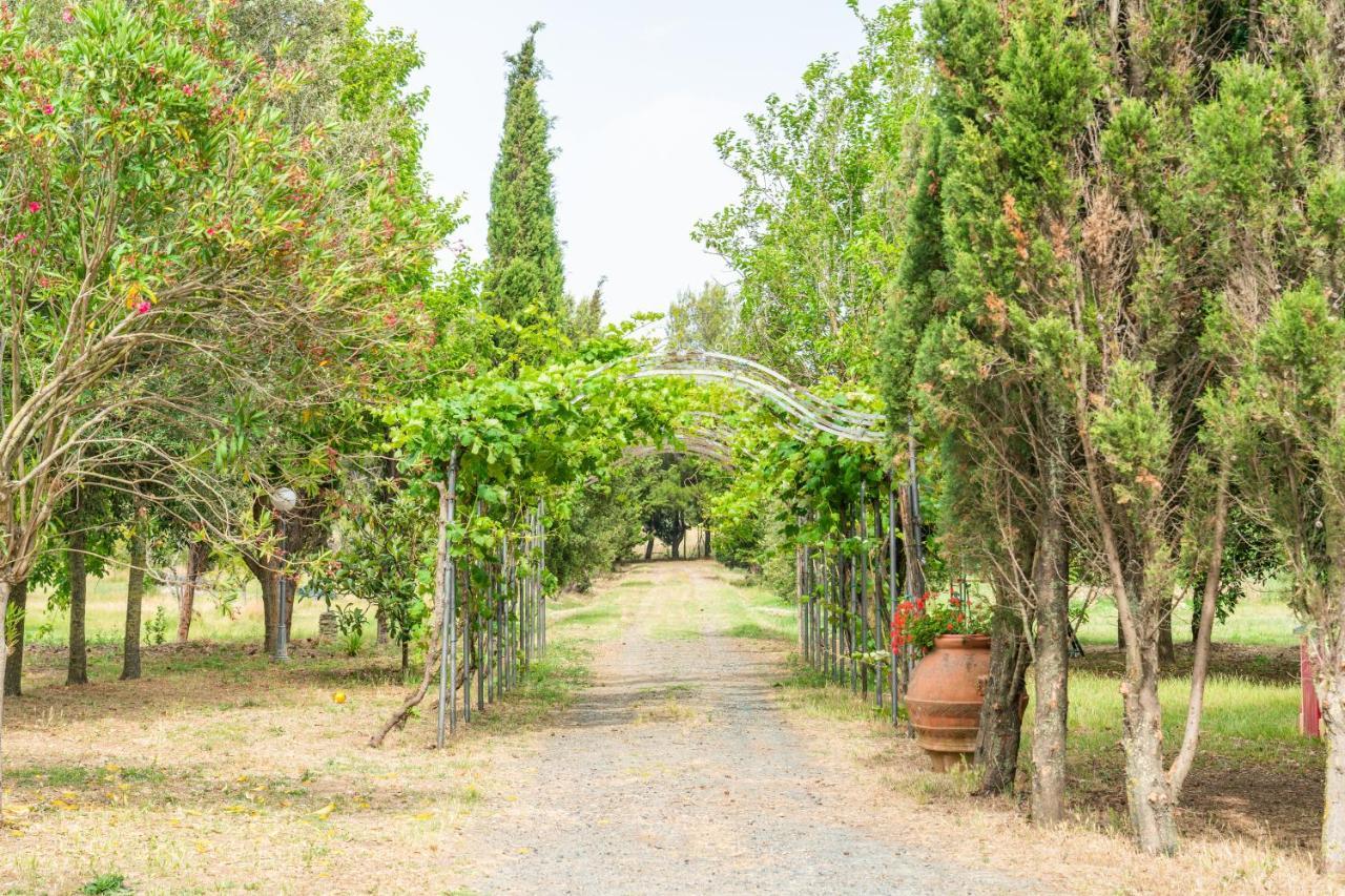 Agriturismo Le Biricoccole Vada Exterior photo